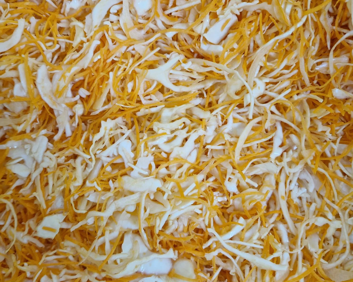 Fresh coleslaw vegetable mix