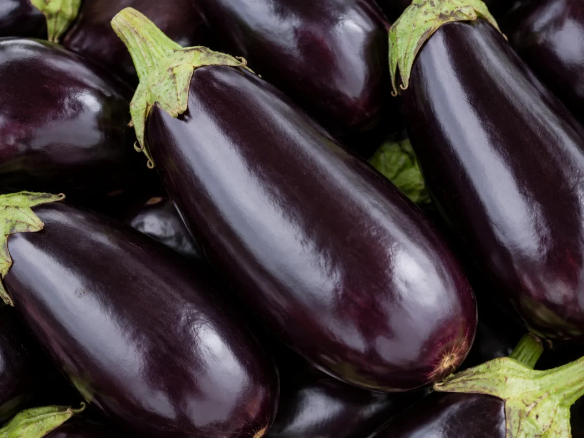 Aubergine supplied by KJ Fresh Prep Veg