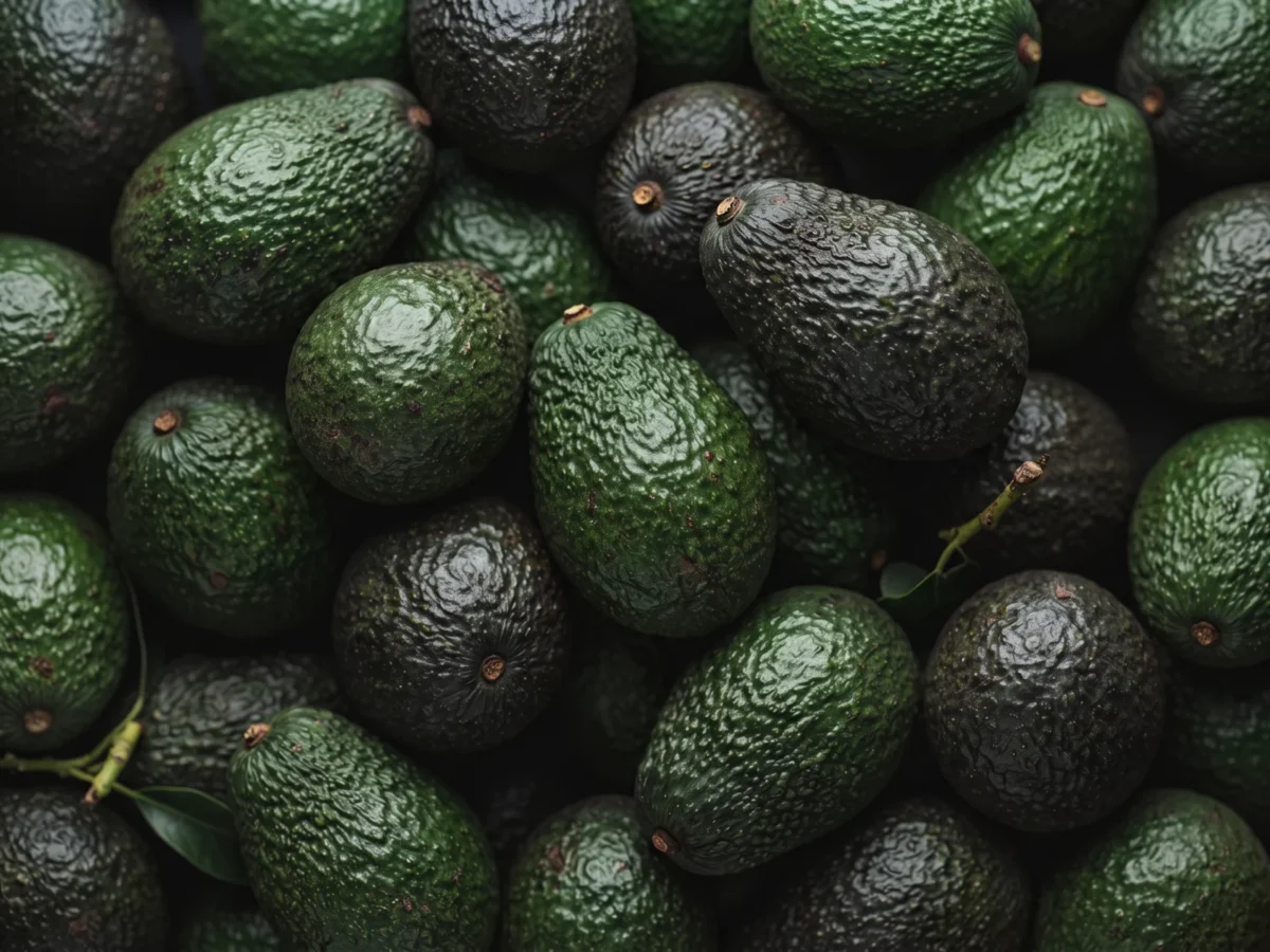 Avocados supplied by KJ Fresh Prep Veg