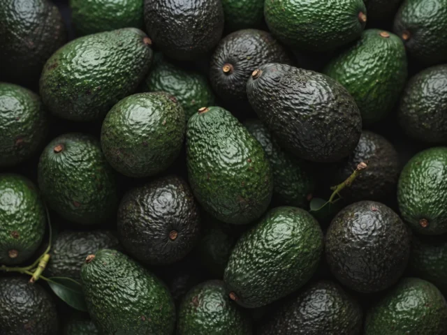Avocados supplied by KJ Fresh Prep Veg