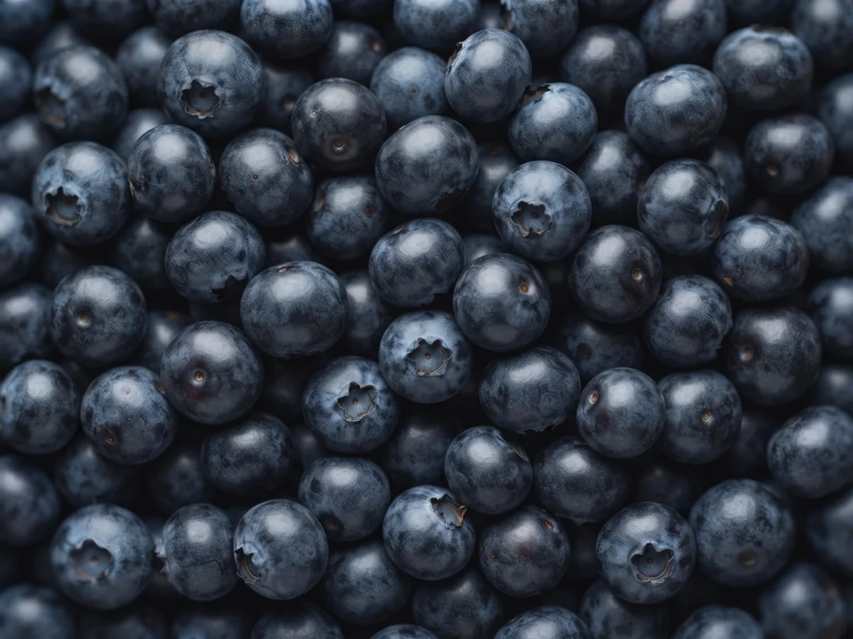 Blueberries supplied by KJ Fresh Prep Veg