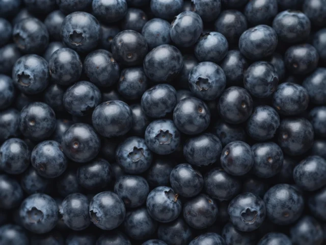 Blueberries supplied by KJ Fresh Prep Veg