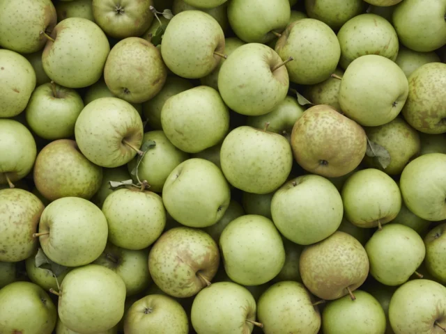 Bramley Apples supplied by KJ Fresh Prep Veg