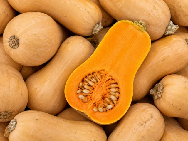 Butternut Squash supplied by KJ Fresh Prep Veg