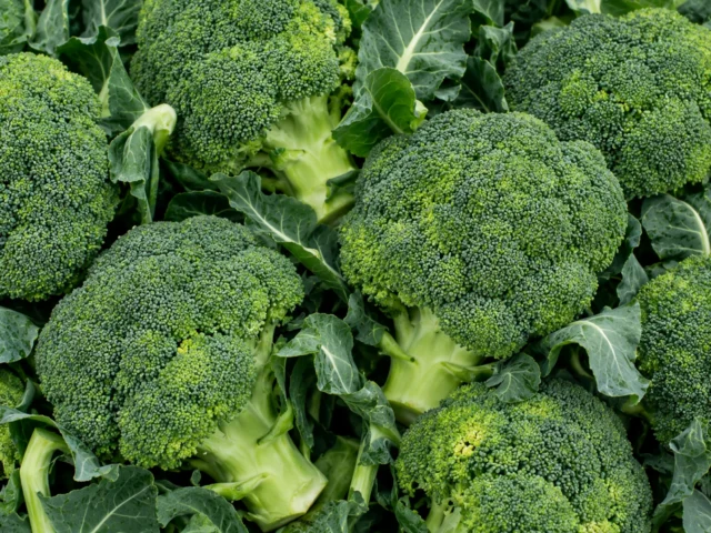 Calabrese supplied by KJ Fresh Prep Veg