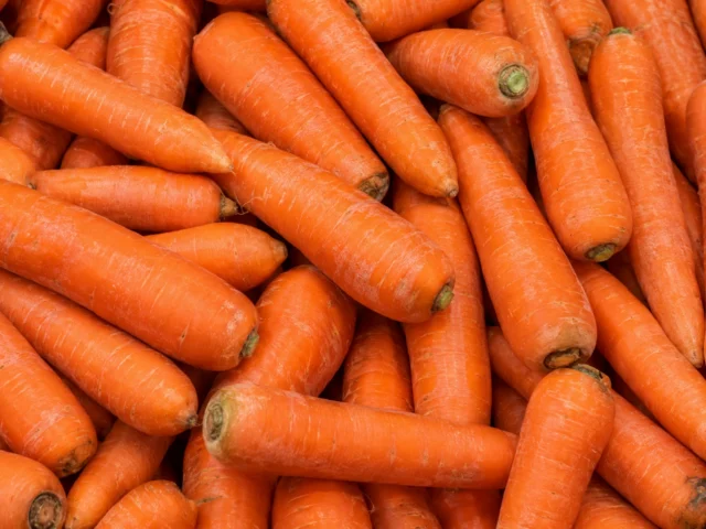 Carrots supplied by KJ Fresh Prep Veg