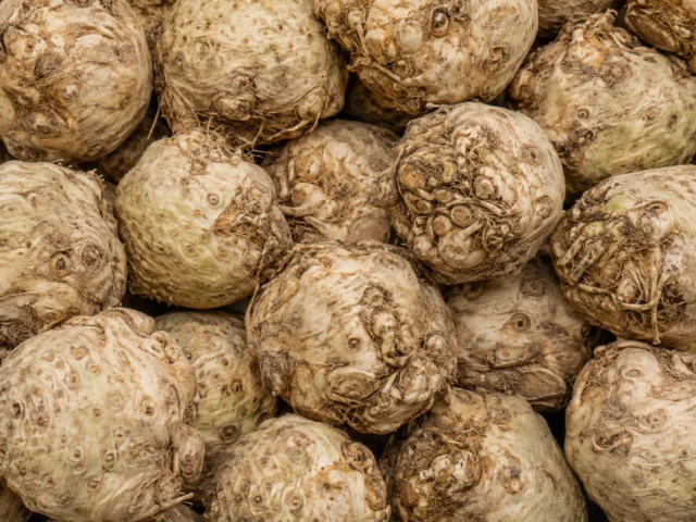 Fresh celeriac