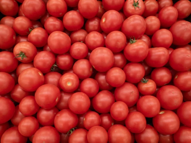 Cherry Tomatoes 250g supplied by KJ Fresh Prep Veg