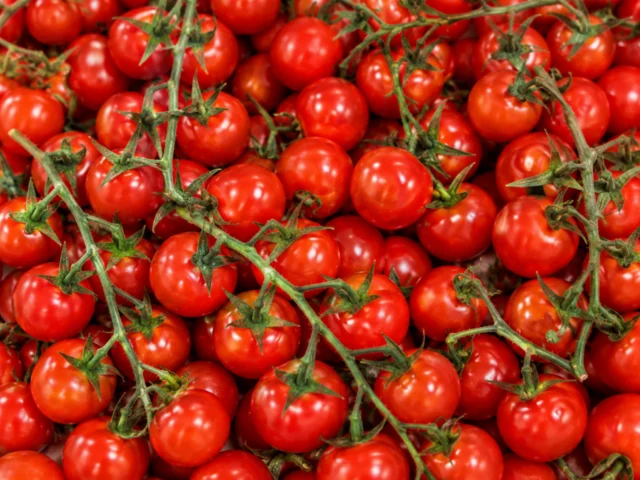 Fresh cherry vine tomatoes supplied by KJ Fresh Prep Veg in Northamptonshire