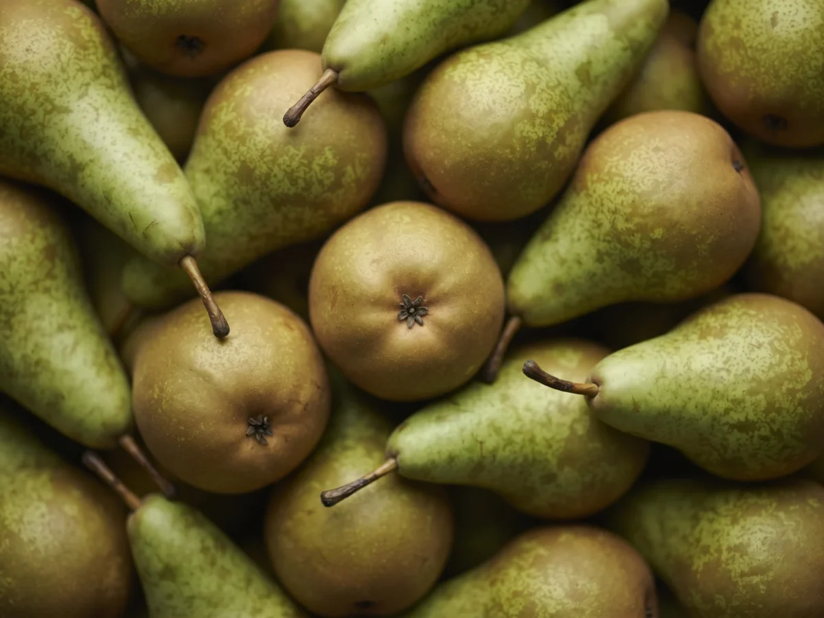 Conference Pears supplied by KJ Fresh Prep Veg