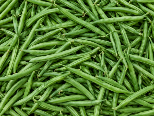 Fresh fine beans supplied by KJ Fresh Prep Veg in Northamptonshire