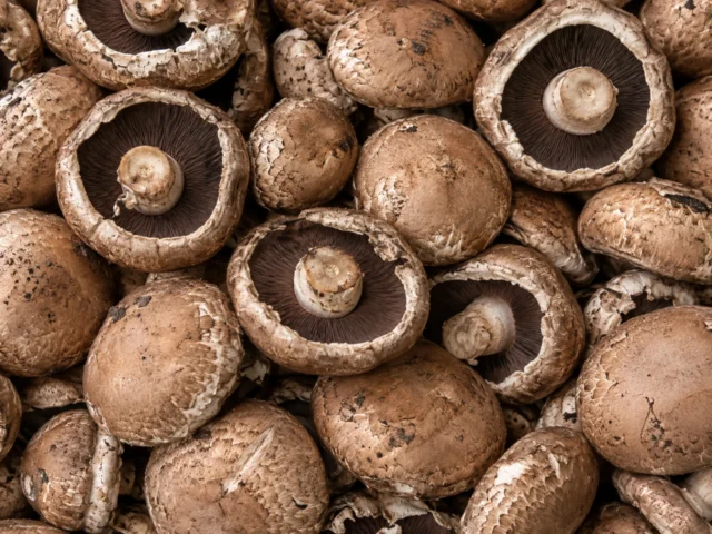 Fresh flat mushrooms supplied by KJ Fresh Prep Veg