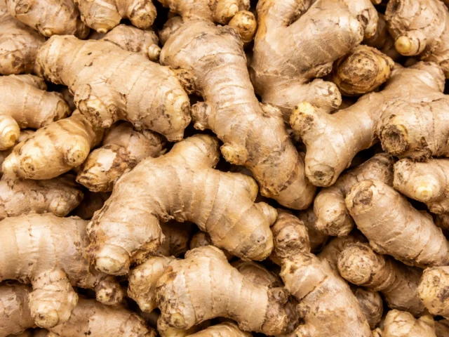 Fresh ginger supplied by KJ Fresh Prep Veg in Northamptonshire