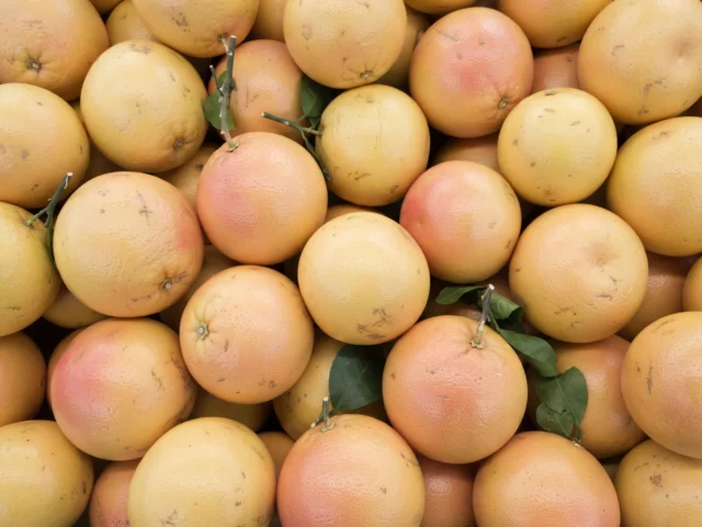 Grapefruit supplied by KJ Fresh Prep Veg