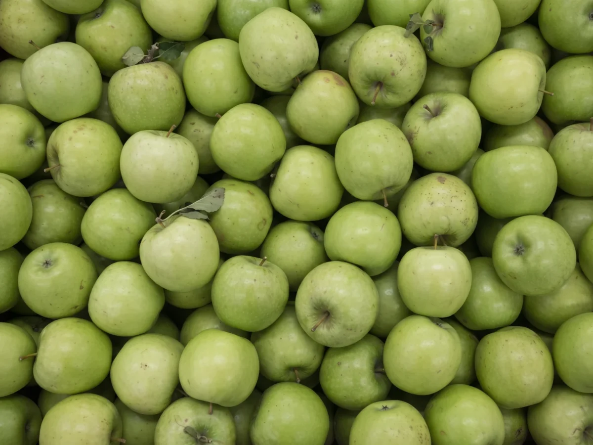 Green Apples supplied by KJ Fresh Prep Veg