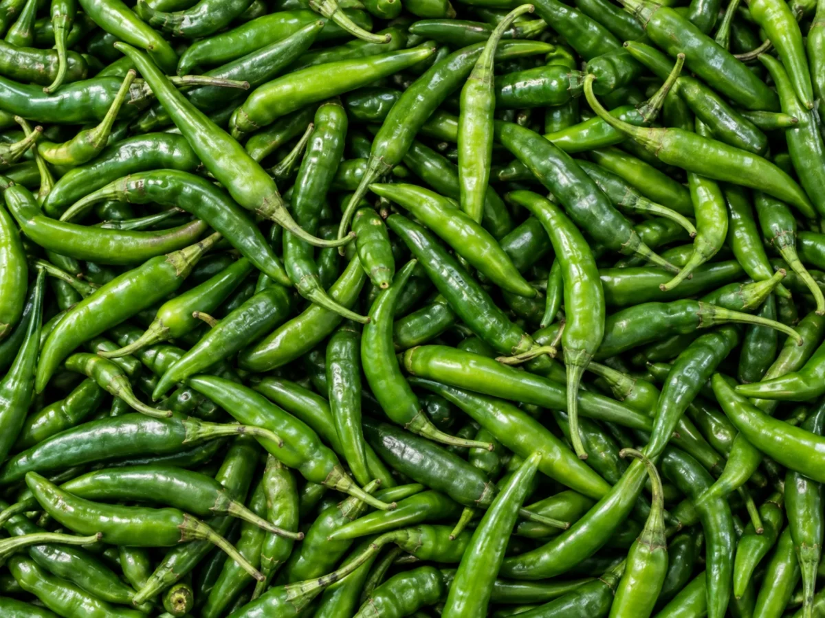 Fresh green chillies supplied by KJ Fresh Prep Veg