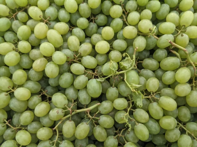 Green Grapes 500g supplied by KJ Fresh Prep Veg