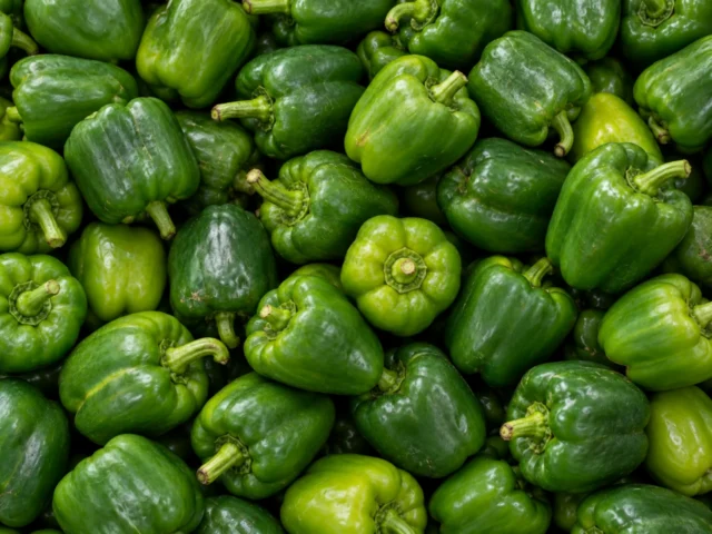 Fresh green peppers supplied by KJ Fresh Prep Veg in Northamptonshire