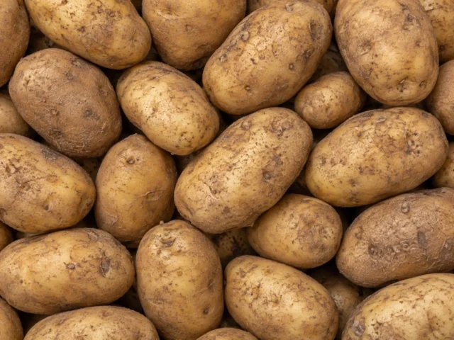 Fresh jacket potatoes supplied by KJ Fresh Prep Veg