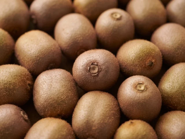 Kiwi Fruit supplied by KJ Fresh Prep Veg