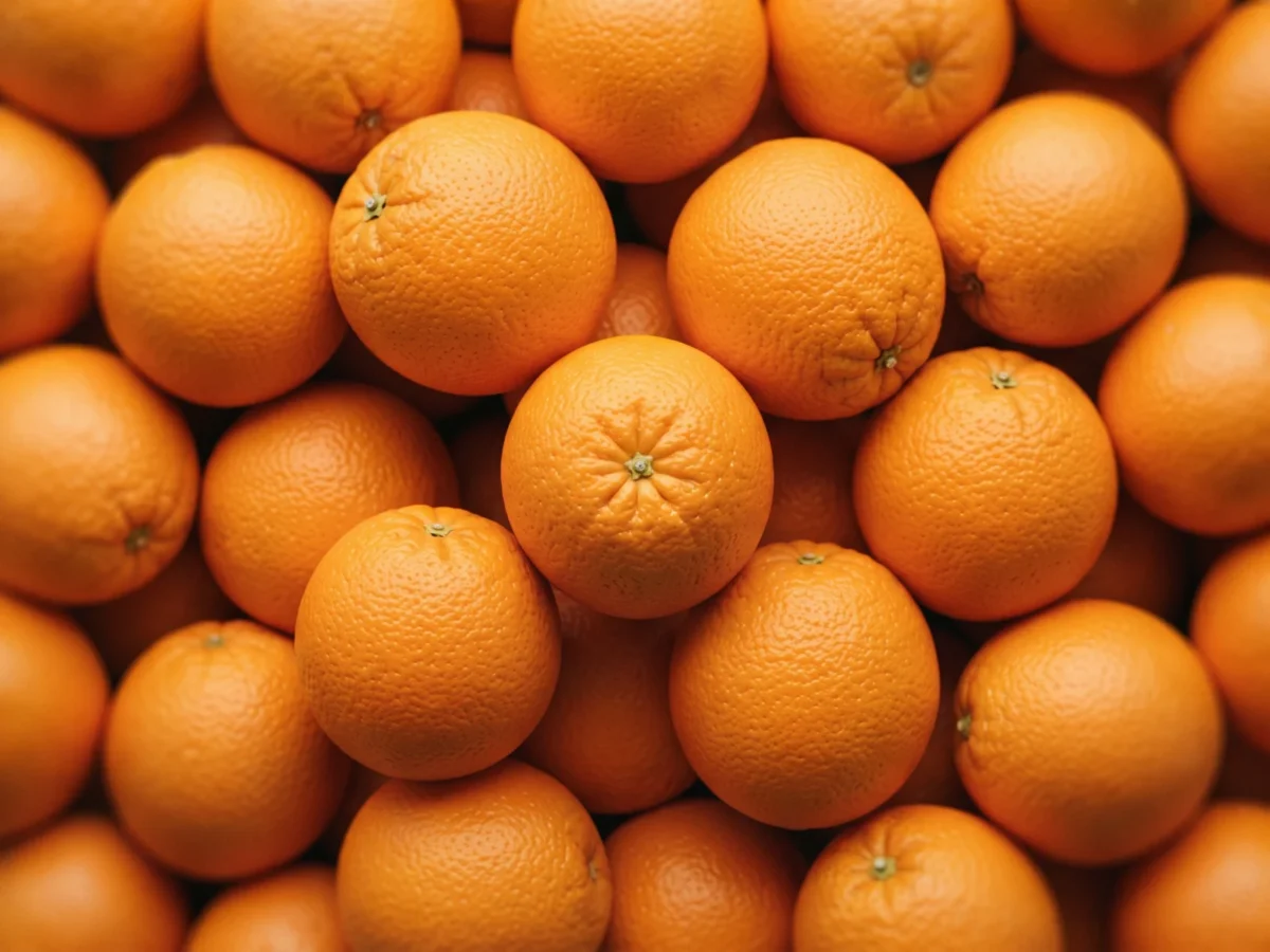Large Oranges supplied by KJ Fresh Prep Veg
