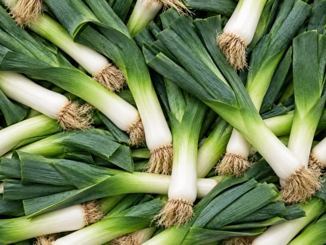 Fresh leeks supplied by KJ Fresh Prep Veg in Northamptonshire
