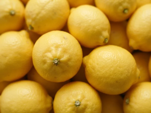 Lemons supplied by KJ Fresh Prep Veg