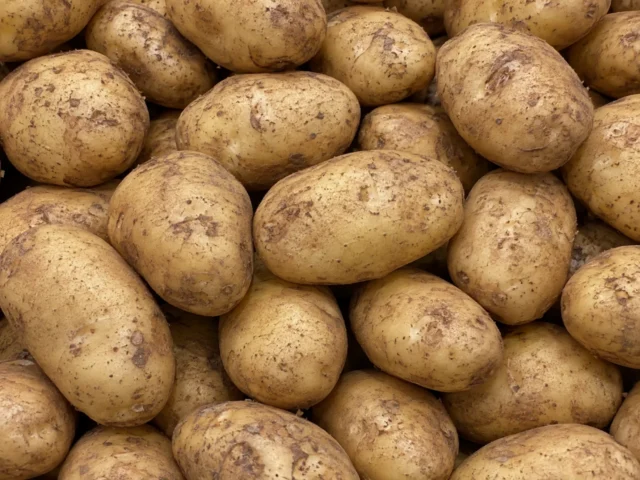 Fresh Maris Piper potatoes supplied by KJ Fresh Prep Veg