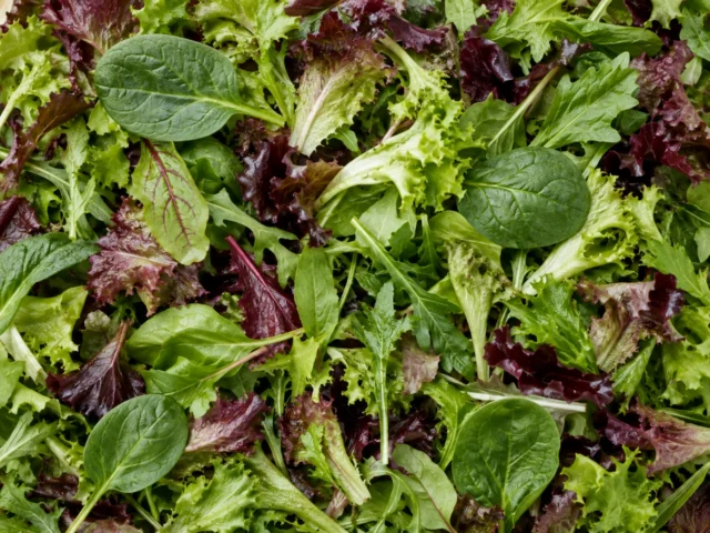 Fresh mix leaves 500g supplied by KJ Fresh Prep Veg in Northamptonshire