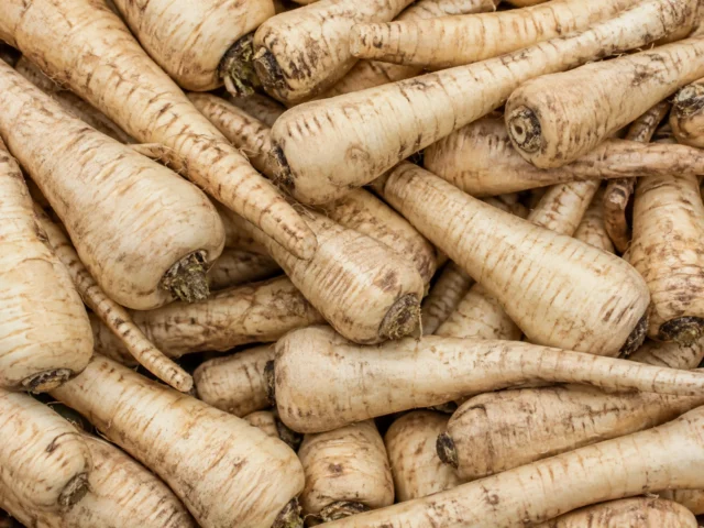 Fresh parsnips supplied by KJ Fresh Prep Veg