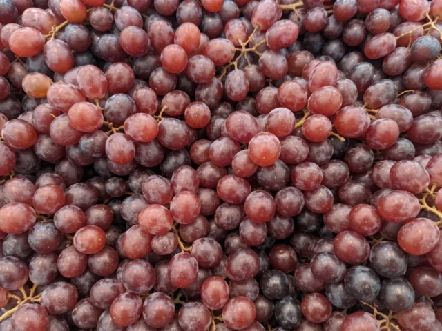 Red Grapes 500g supplied by KJ Fresh Prep Veg