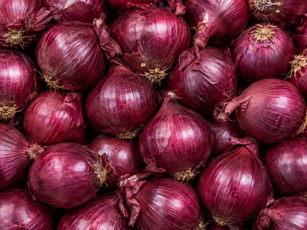 Fresh red onions supplied by KJ Fresh Prep Veg in Northamptonshire