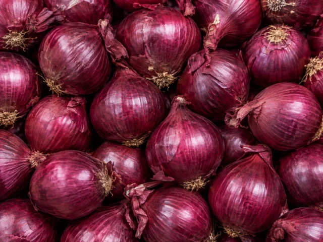 Fresh red onions supplied by KJ Fresh Prep Veg in Northamptonshire