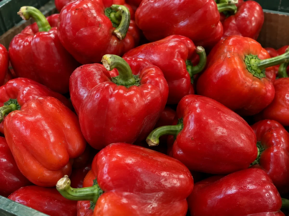 Red Peppers supplied by KJ Fresh Prep Veg