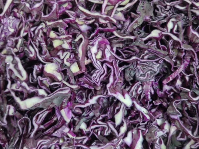 Freshly shredded red cabbage