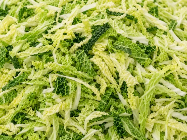 Freshly prepared shredded savoy cabbage