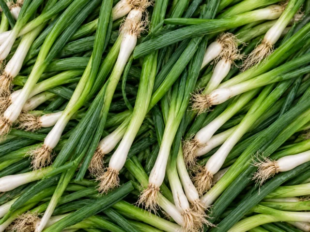 Fresh spring onions supplied by KJ Fresh Prep Veg in Northamptonshire