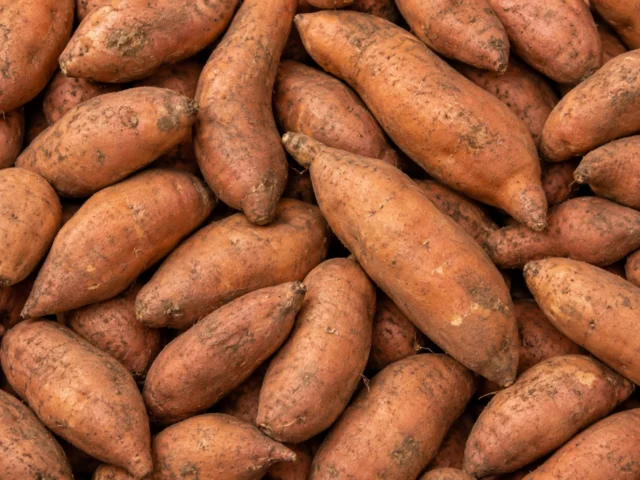 Fresh sweet potatoes supplied by KJ Fresh Prep Veg