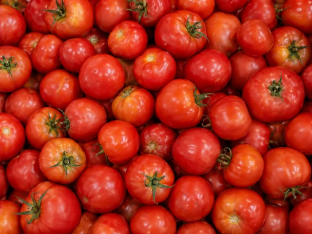 Fresh tomatoes supplied by KJ Fresh Prep Veg in Northamptonshire