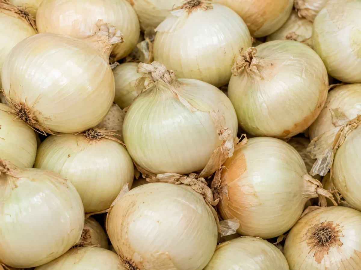 White Onions supplied by KJ Fresh Prep Veg
