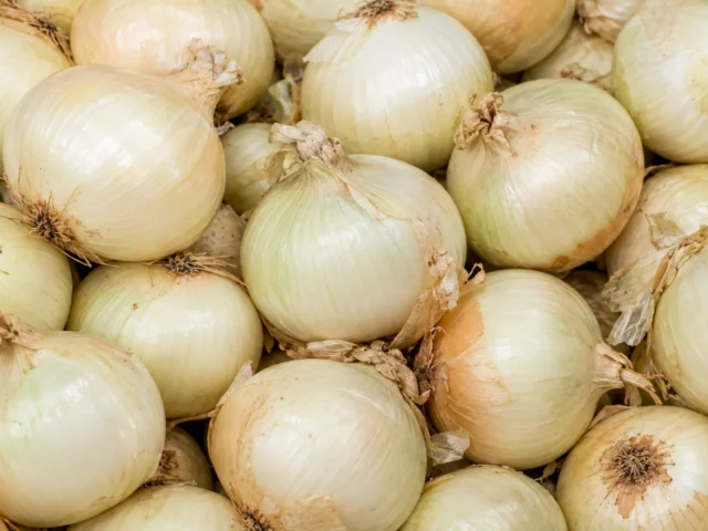 White Onions supplied by KJ Fresh Prep Veg