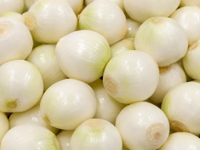 Freshly prepared whole peeled onions