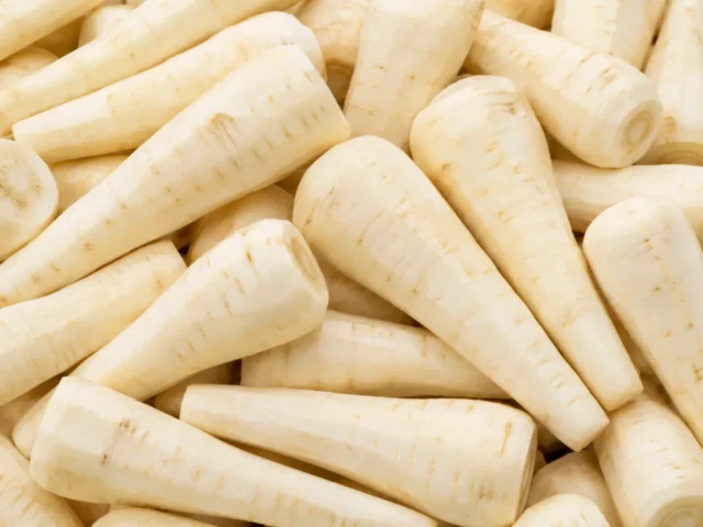 Freshly prepared whole peeled parsnips