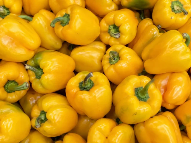 Fresh yellow peppers supplied by KJ Fresh Prep Veg